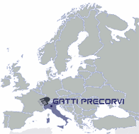 GATTI PRECORVI S.p.a. LAMIERE FORATE - via Lombardia,1 24030 Medolago Bergamo Italy